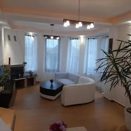 Guest house Pensiunea Turist 4*