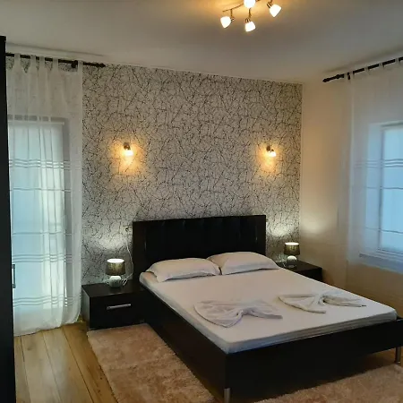 Pensiunea Turist Guest house 4*