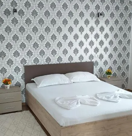 Pensiunea Turist Guest house