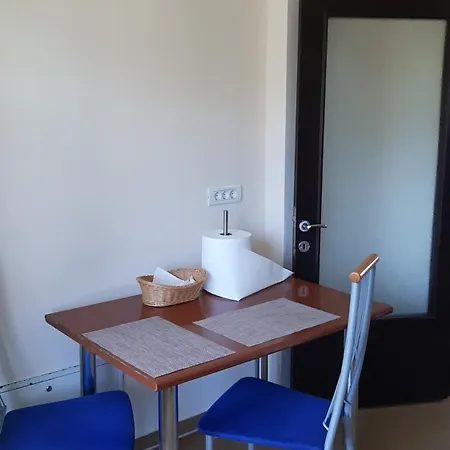 Guest house Pensiunea Turist