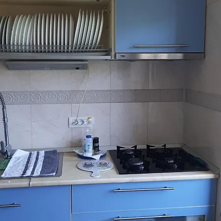 Pensiunea Turist Guest house Techirghiol