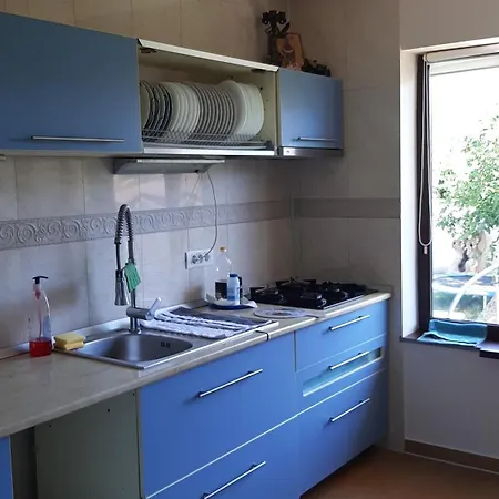 Pensiunea Turist Guest house