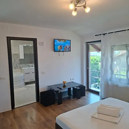 Pensiunea Turist Gasthof 4*